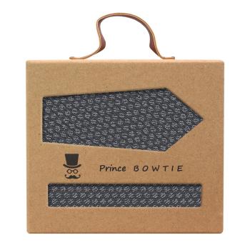 Prince Bowtie Set Krawatte + Einstecktuch grau